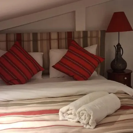 The White Swan Beyoglu 4* イスタンブール
