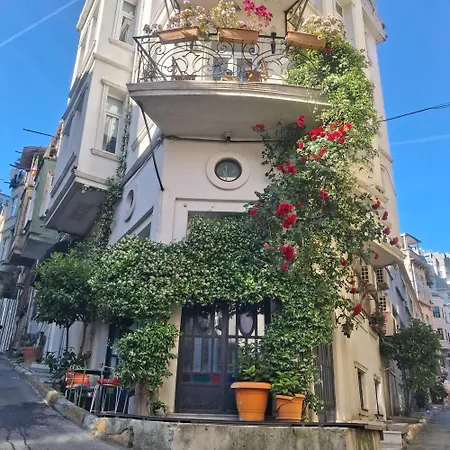 The White Swan Beyoglu アパートホテル